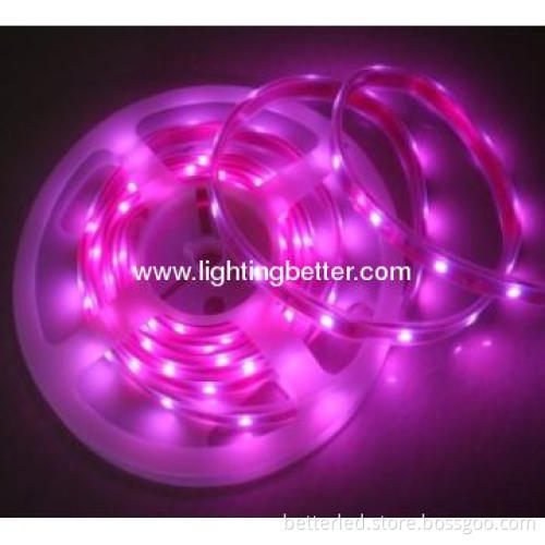 High qquality hot sales pink color waterproof SMD3528 Led Strip